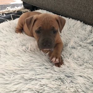 Meet your Posher, Matt